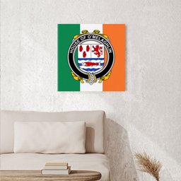 ScotsTee Shop Irish House of O MELAGHLIN Clan Family Crest Ireland Flag Framed Canvas Print