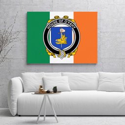 ScotsTee Shop Irish House of O FAHY Clan Family Crest Ireland Flag Framed Canvas Print