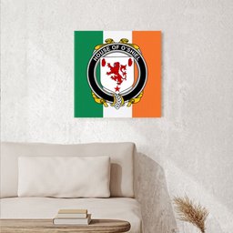 ScotsTee Shop Irish House of O SHIEL Clan Family Crest Ireland Flag Framed Canvas Print