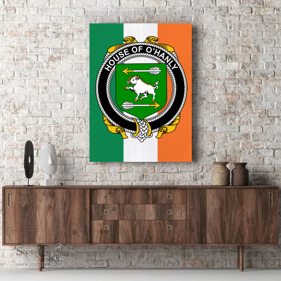 ScotsTee Shop Irish House of O HANLY Clan Family Crest Ireland Flag Framed Canvas Print