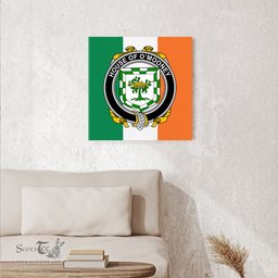 ScotsTee Shop Irish House of O MOONEY Clan Family Crest Ireland Flag Framed Canvas Print
