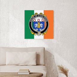ScotsTee Shop Irish House of O HOLOHAN Clan Family Crest Ireland Flag Framed Canvas Print