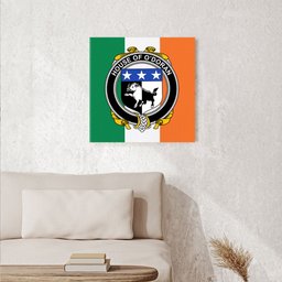 ScotsTee Shop Irish House of O DORAN Clan Family Crest Ireland Flag Framed Canvas Print