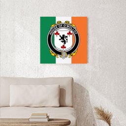 ScotsTee Shop Irish House of O MOLLOY Clan Family Crest Ireland Flag Framed Canvas Print