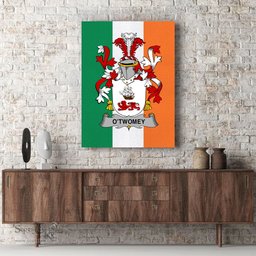 ScotsTee Shop Irish O Twomey Clan Family Crest Ireland Flag Framed Canvas Print