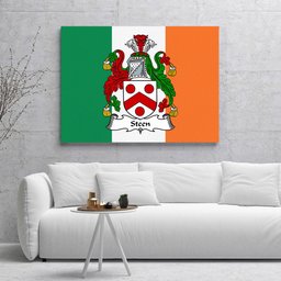 ScotsTee Shop Irish Steen Clan Family Crest Ireland Flag Framed Canvas Print