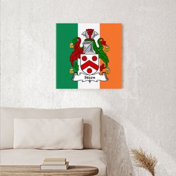 ScotsTee Shop Irish Steen Clan Family Crest Ireland Flag Framed Canvas Print