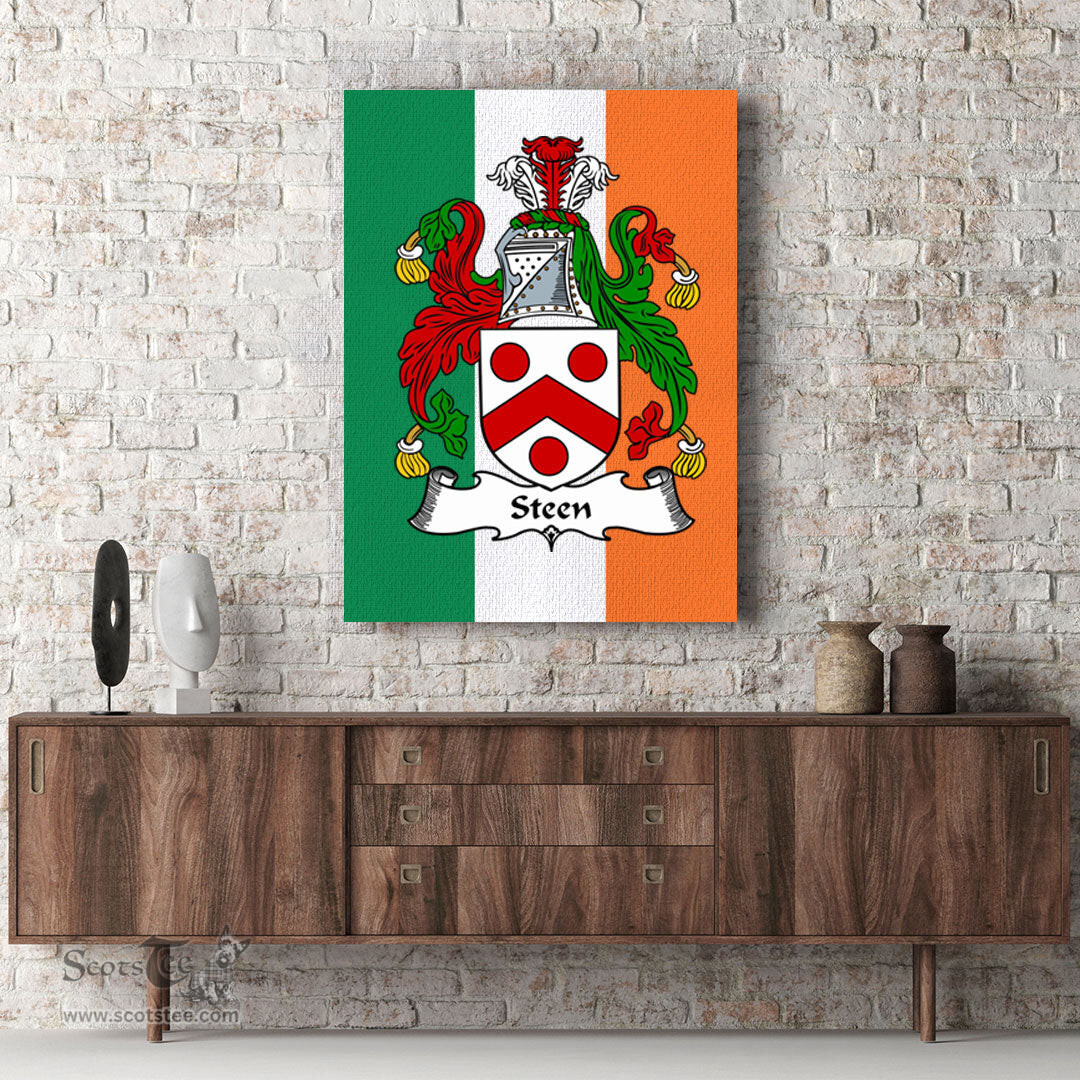 ScotsTee Shop Irish Steen Clan Family Crest Ireland Flag Framed Canvas Print