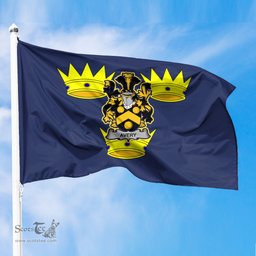 ScotsTee Shop Irish-Avery-Irish-Coat-of-Arms-on-Flag-of-Munster