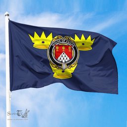 ScotsTee Shop Irish-House-of-FAGAN-Irish-Coat-of-Arms-on-Flag-of-Munster