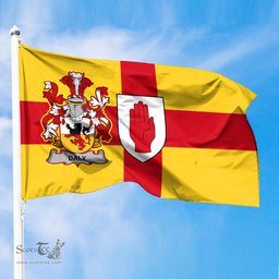 ScotsTee Shop Irish Daly or O Daly Coat of Arms on Flag of Ulster Ireland