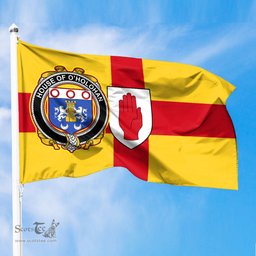 ScotsTee Shop Irish House of O HOLOHAN Coat of Arms on Flag of Ulster Ireland
