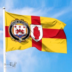 ScotsTee Shop Irish House of O NEILL Coat of Arms on Flag of Ulster Ireland