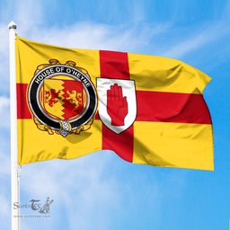 ScotsTee Shop Irish House of O HEYNE Coat of Arms on Flag of Ulster Ireland