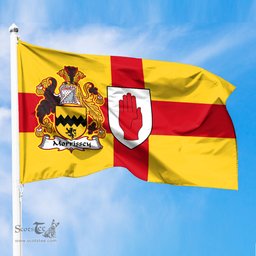 ScotsTee Shop Irish Morrissey Coat of Arms on Flag of Ulster Ireland