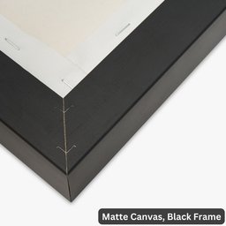 ScotsTee Shop Scottish Taylor Dress Clan Crest Tartan Framed Canvas Print Wall Art