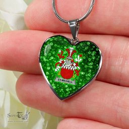 ScotsTee Shop Irish St.Michell Coat of Arms Crest Ireland Shamrock Heart Necklace