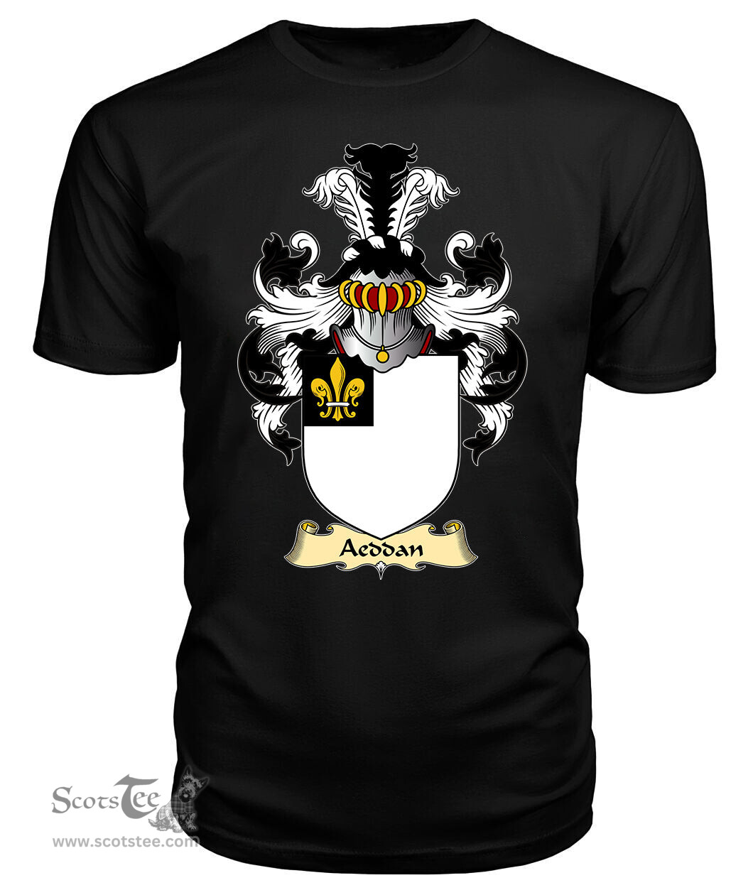 Aeddan (AP SEYSSYLLT) Coat Of Arms Family Crest Wales V23 T Shirt ScotsTee Shop