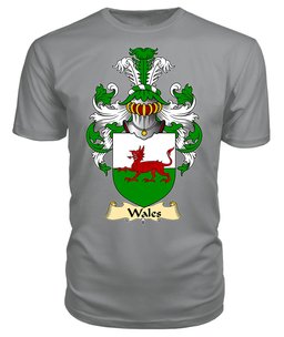 Wales National Coat Of Arms Family Crest Wales V23 T Shirt ScotsTee Shop