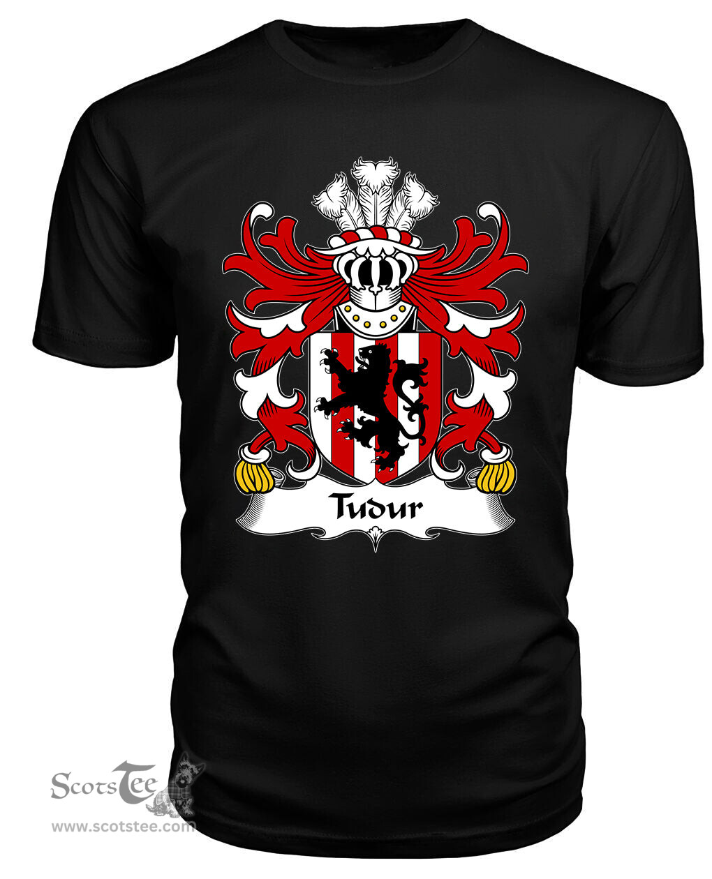 ScotsTee Tudur (AP GRUFFUDD FYCHAN) Coat Of Arms Family Crest Welsh Armorial T Shirt