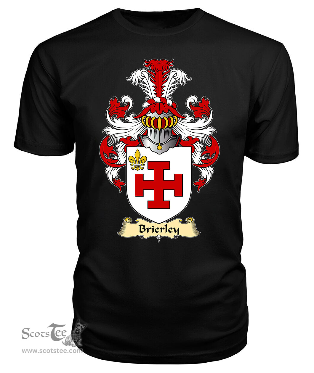 ScotsTee Brierley Coat Of Arms Family Crest England V23 T Shirt