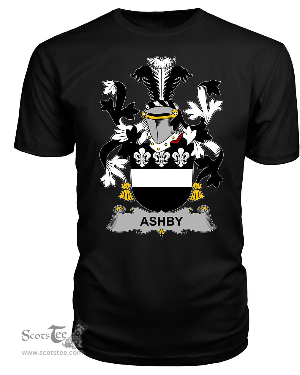 ScotsTee Ashby Coat Of Arms Family Crest Fighting Irish III T Shirt