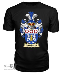 ScotsTee O'Holohan or Hoolihan Coat Of Arms Family Crest Ireland V23 T Shirt
