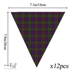ScotsTee Shop Scottish MacDonald of Clan Ranald Modern Tartan Triangle Flags Tartan Bunting, Pennants (12pcs)
