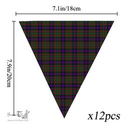 ScotsTee Shop Scottish MacLaren Regent Tartan Triangle Flags Tartan Bunting, Pennants (12pcs)