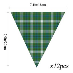 ScotsTee Shop Scottish Johnstone Dress Ancient Tartan Triangle Flags Tartan Bunting, Pennants (12pcs)