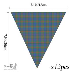 ScotsTee Shop Scottish Stewart of Appin Hunting Ancient Tartan Triangle Flags Tartan Bunting, Pennants (12pcs)