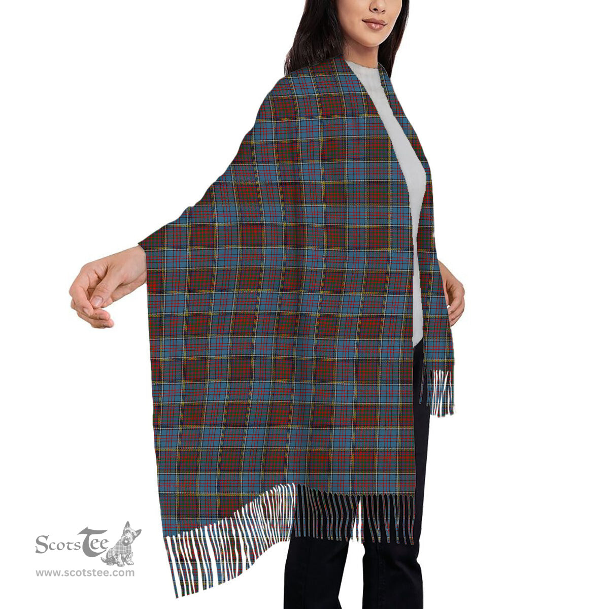ScotsTee Shop Scottish Anderson Highland Society of London Solf Tartan Plaid Tassel Winter Scarf