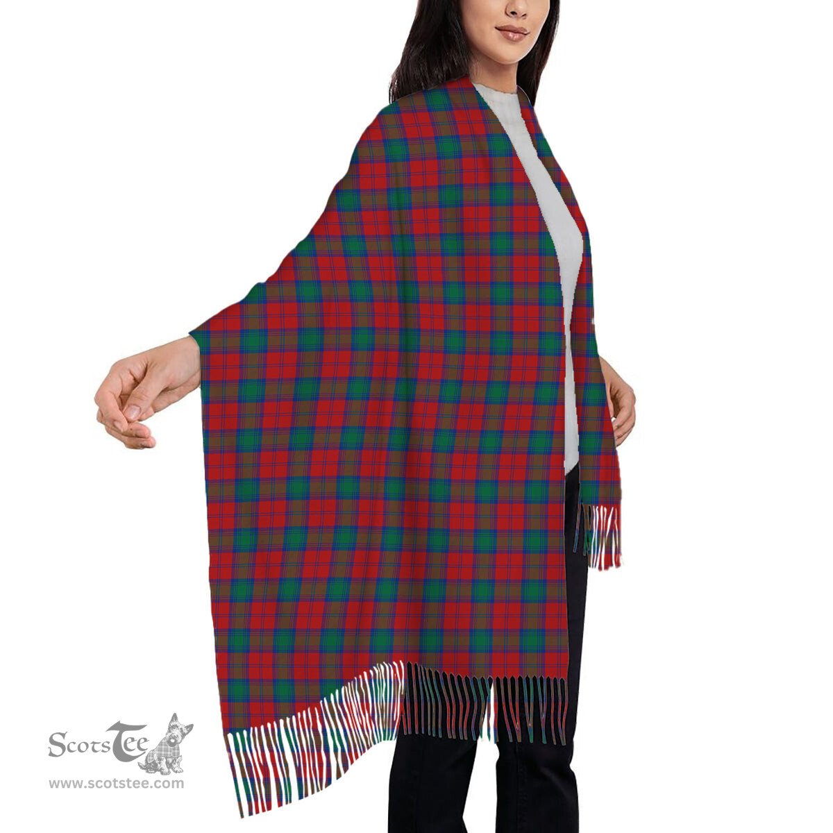 ScotsTee Shop Scottish Auchinleck Solf Tartan Plaid Tassel Winter Scarf