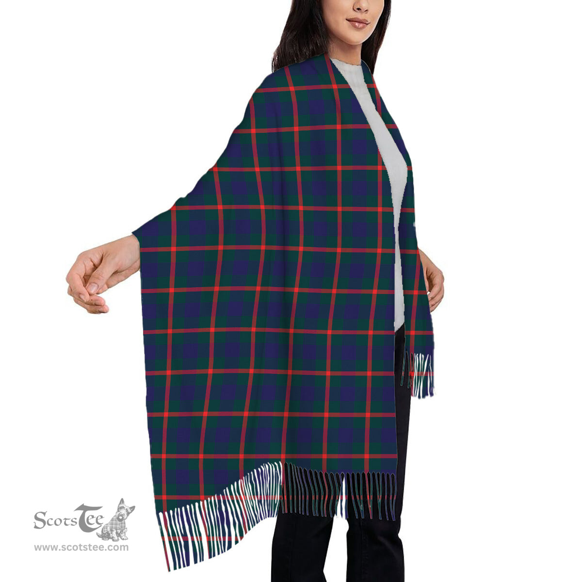 ScotsTee Shop Scottish Agnew Modern Solf Tartan Plaid Tassel Winter Scarf