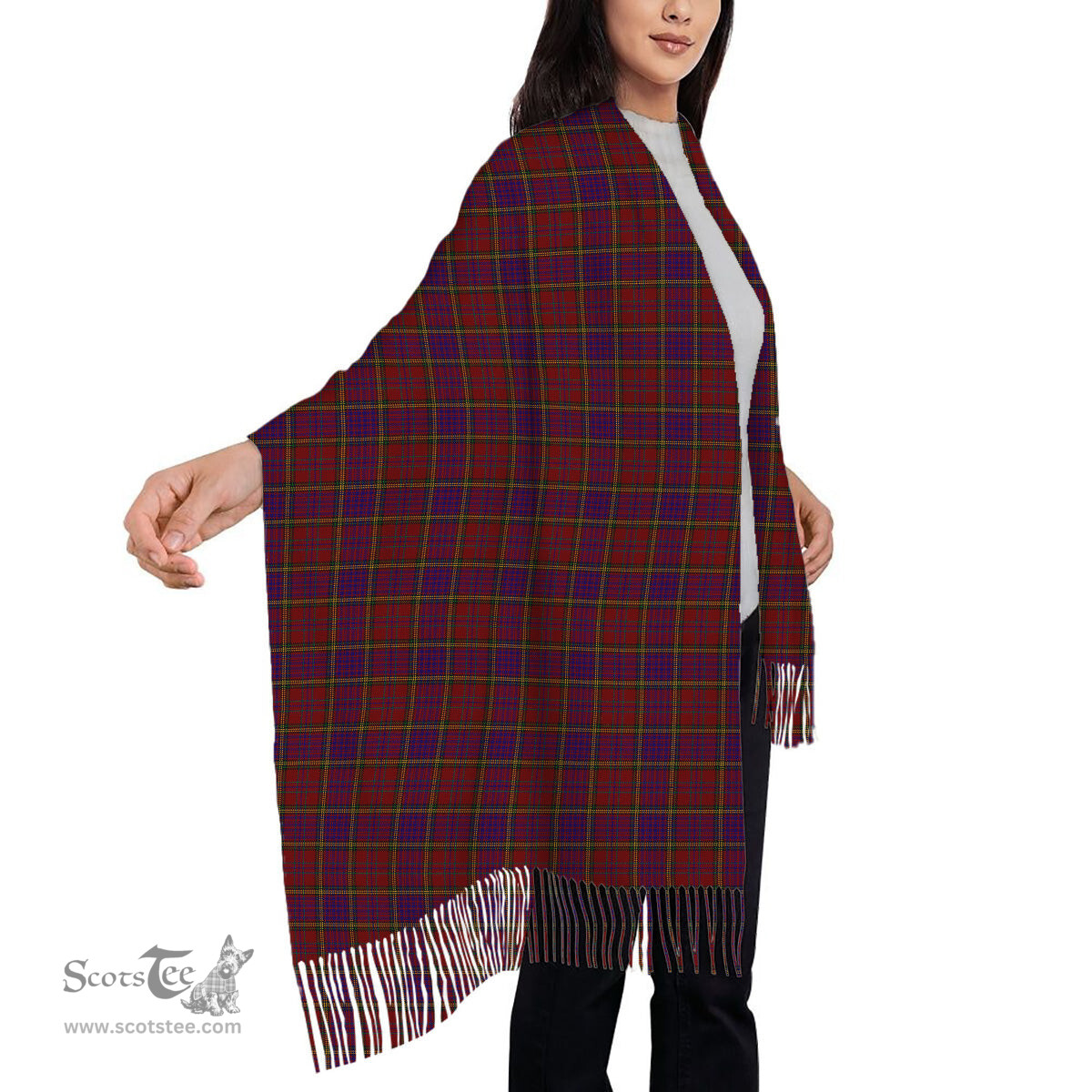 ScotsTee Shop Scottish Anderson of Kinnedear Red Solf Tartan Plaid Tassel Winter Scarf