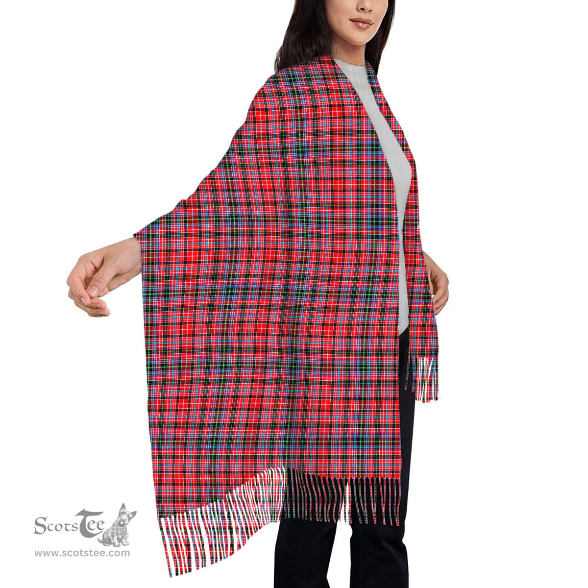 ScotsTee Shop Scottish Aberdeen SC Solf Tartan Plaid Tassel Winter Scarf
