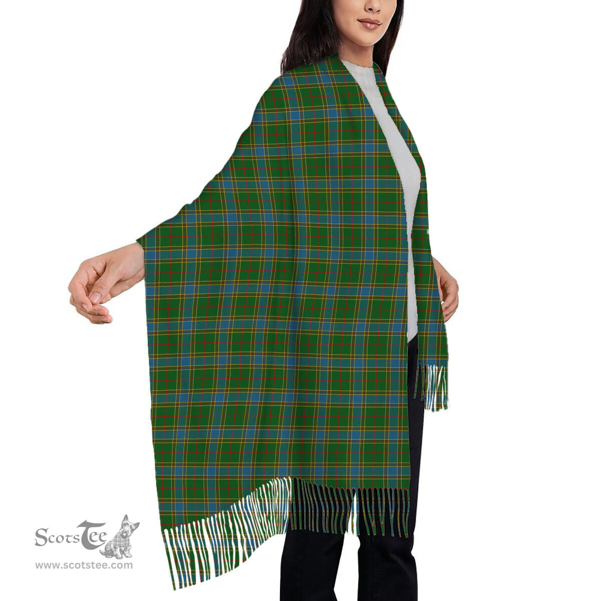 ScotsTee Shop Scottish Balfour Hunting Solf Tartan Plaid Tassel Winter Scarf