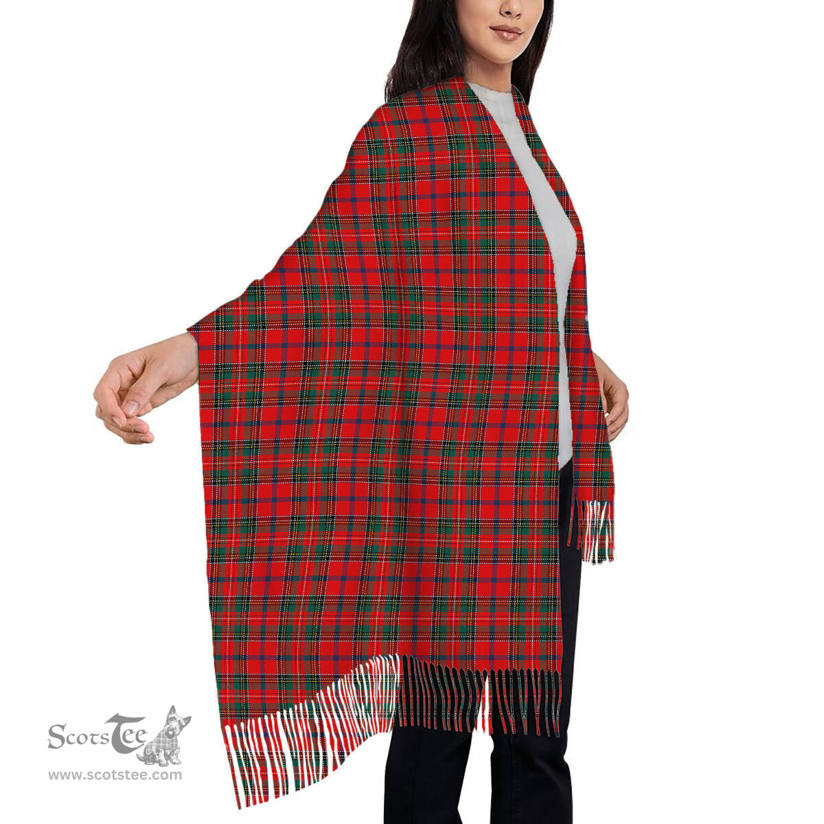 ScotsTee Shop Scottish Brown of Castledean (Broun of Castledean) Modern Solf Tartan Plaid Tassel Winter Scarf