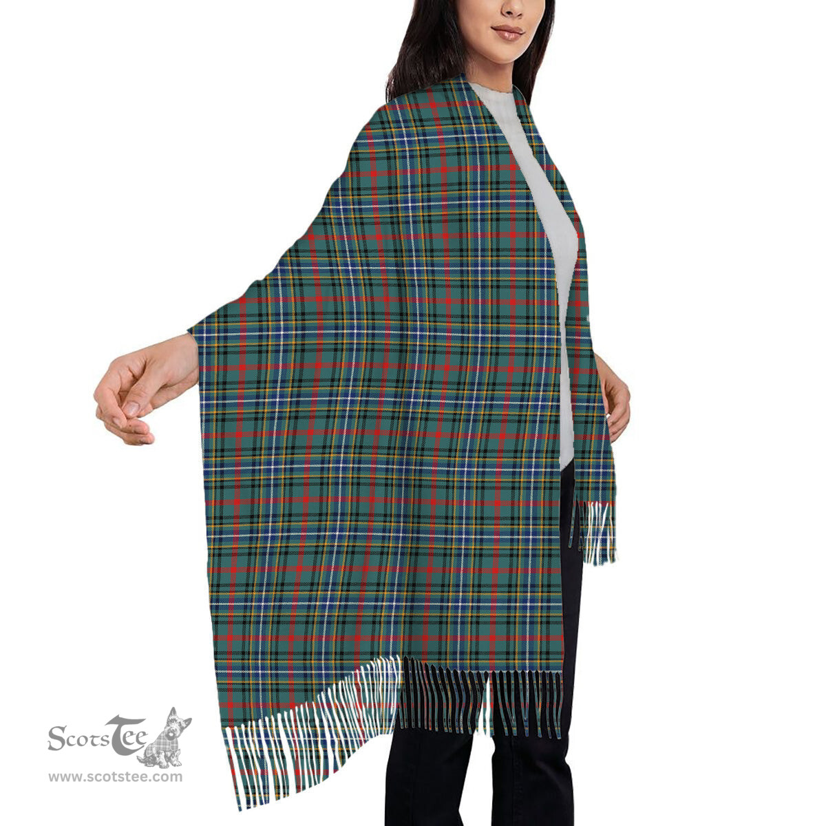 ScotsTee Shop Scottish Bisset Modern Solf Tartan Plaid Tassel Winter Scarf