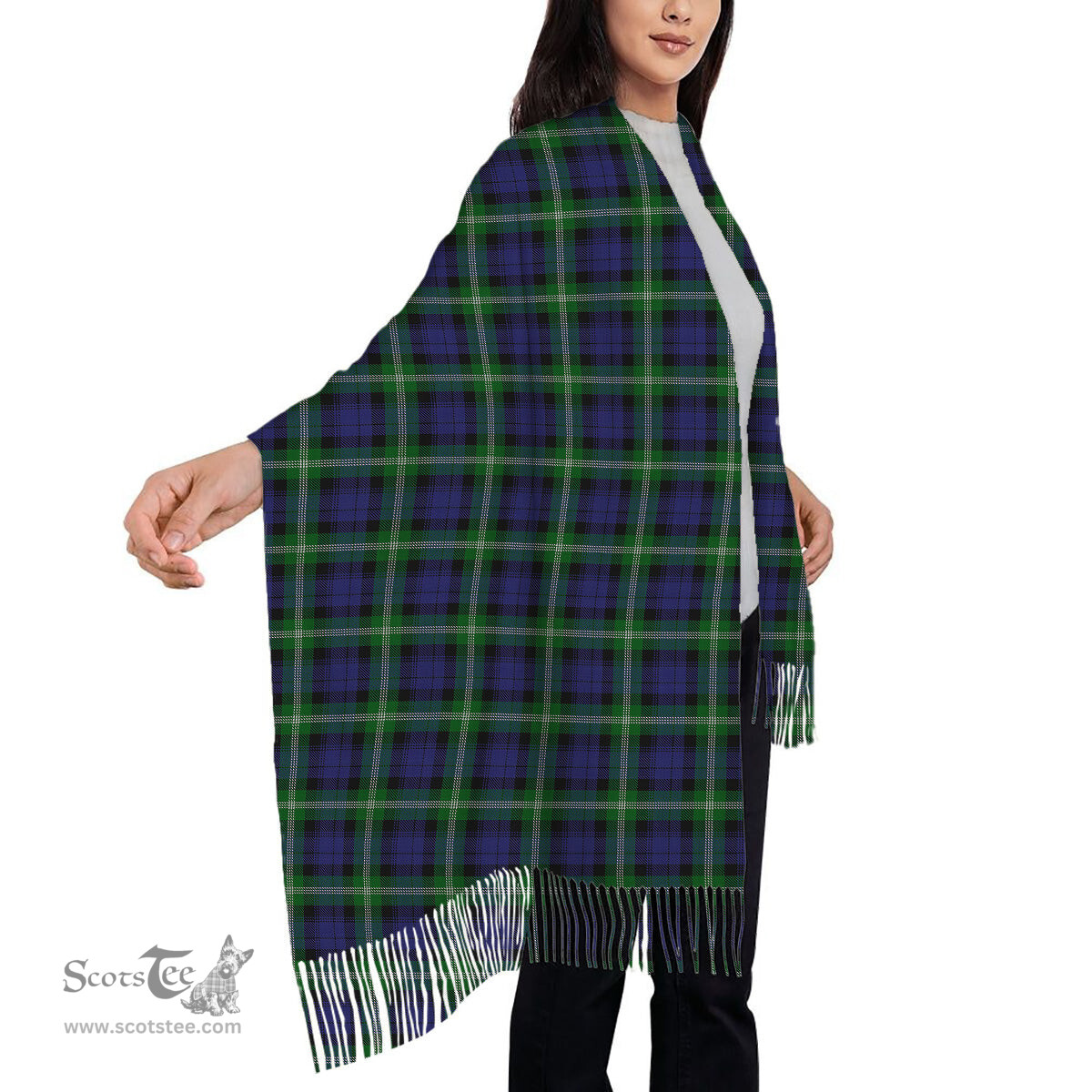 ScotsTee Shop Scottish Baillie of Polkemmet Solf Tartan Plaid Tassel Winter Scarf