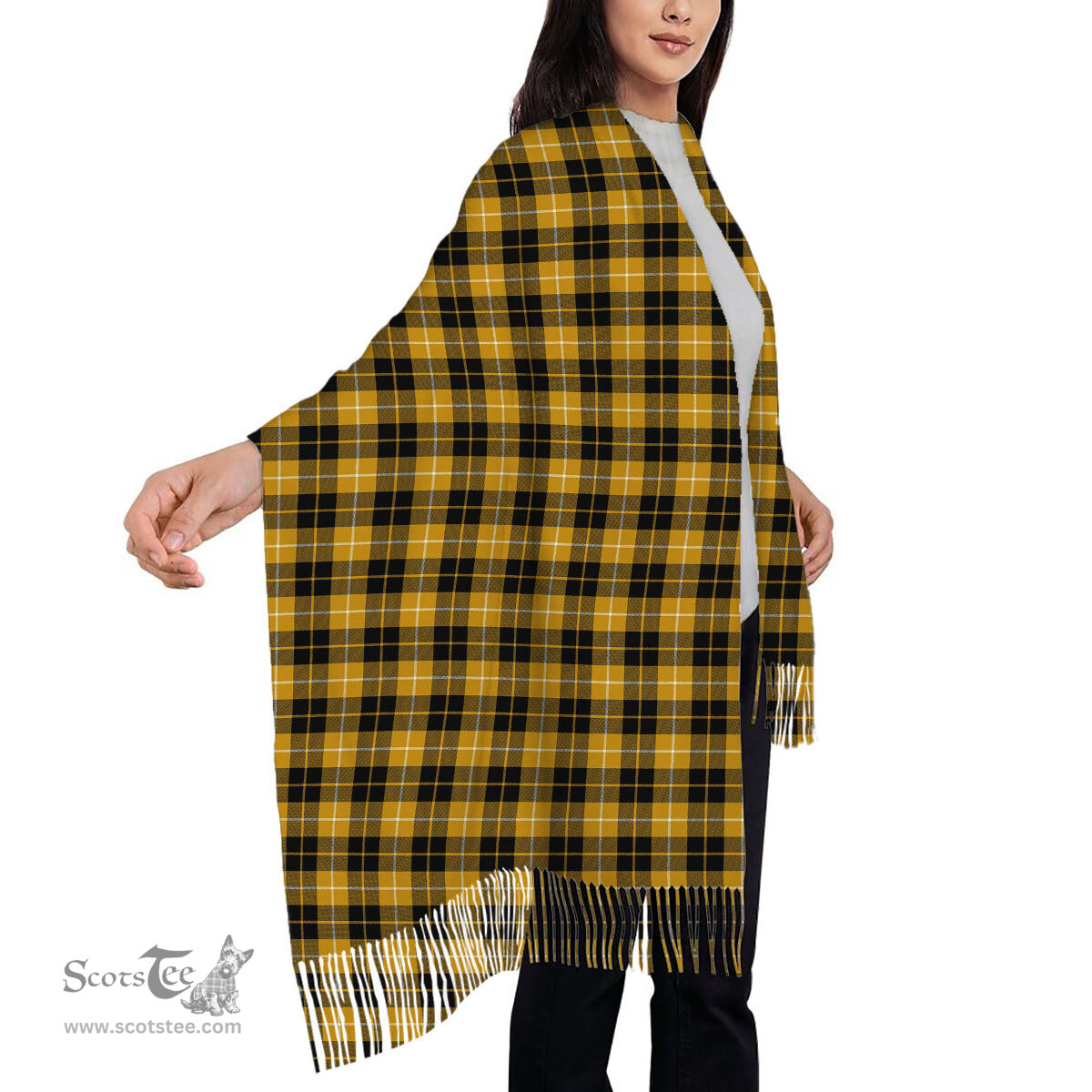 ScotsTee Shop Scottish Barclay Dress Ancient Clan Solf Tartan Plaid Tassel Winter Scarf