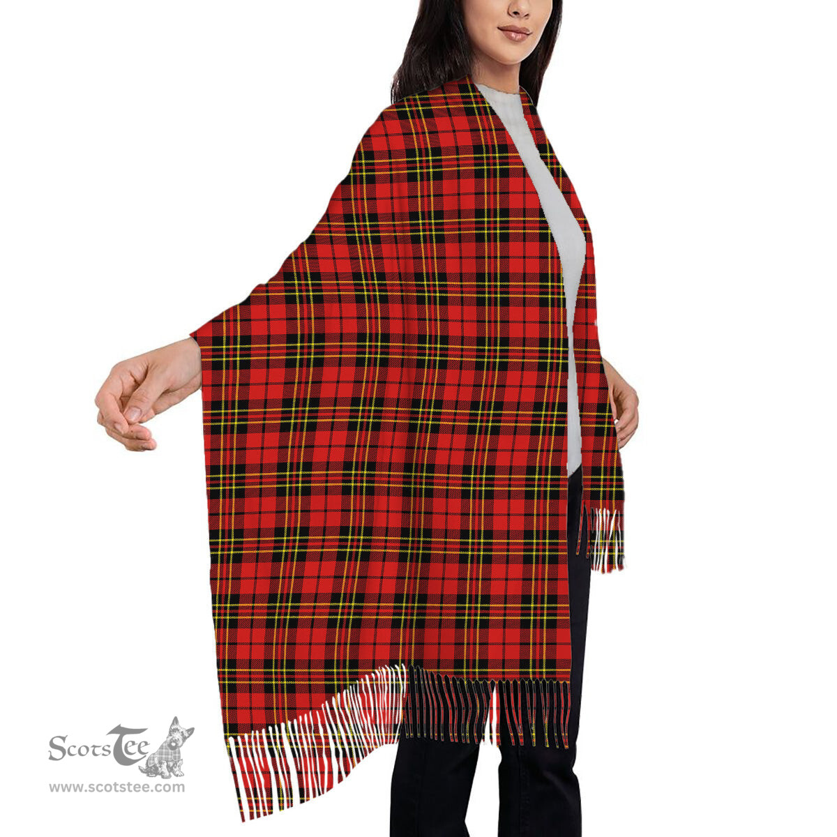 ScotsTee Shop Scottish Brodie Red Modern Solf Tartan Plaid Tassel Winter Scarf