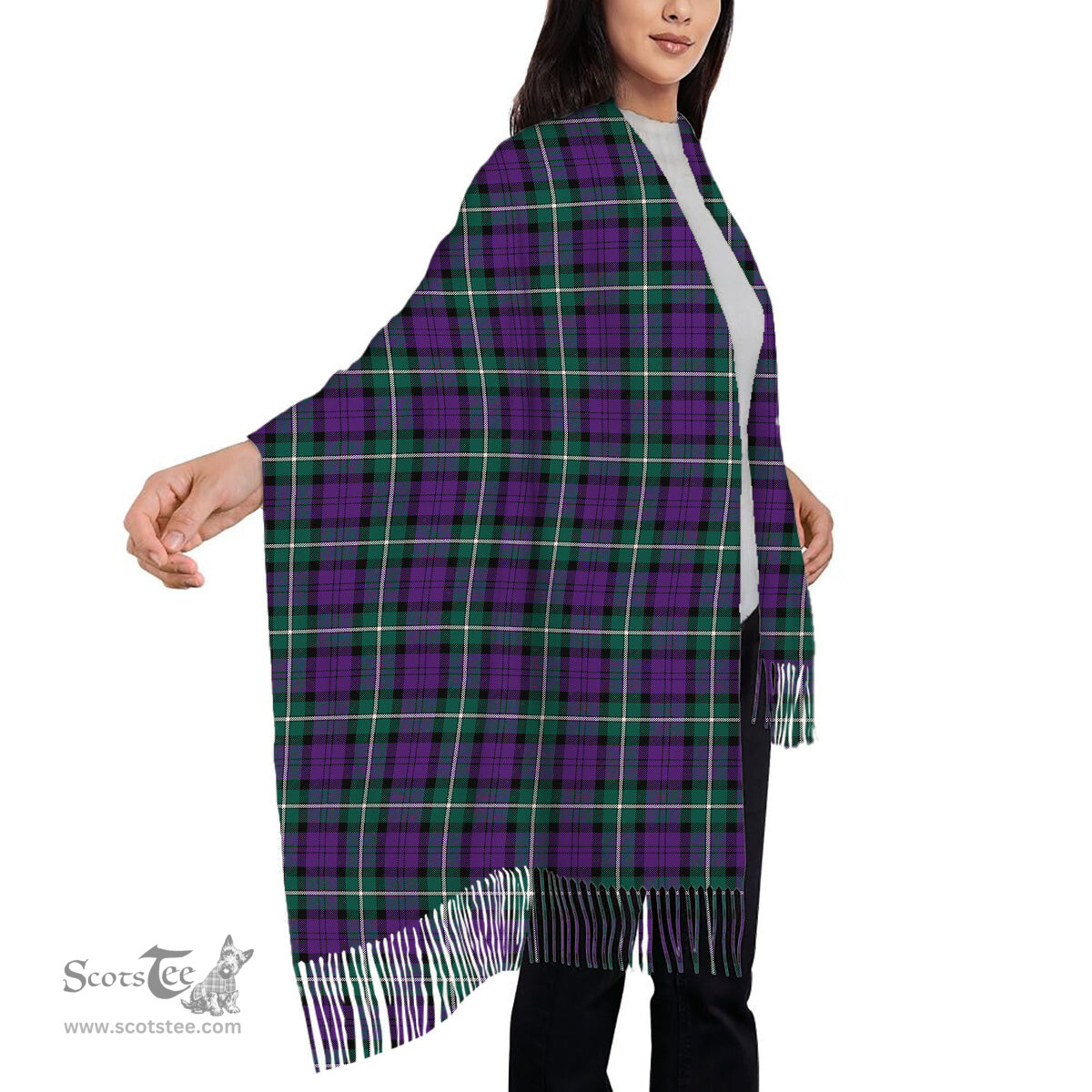 ScotsTee Shop Scottish Baillie Highland Society Modern Solf Tartan Plaid Tassel Winter Scarf