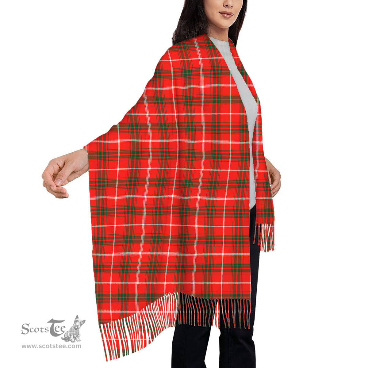 ScotsTee Shop Scottish Duke of Rothesay Modern Solf Tartan Plaid Tassel Winter Scarf