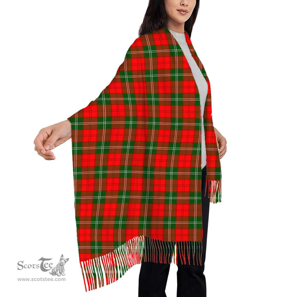 ScotsTee Shop Scottish Lennox Modern Solf Tartan Plaid Tassel Winter Scarf