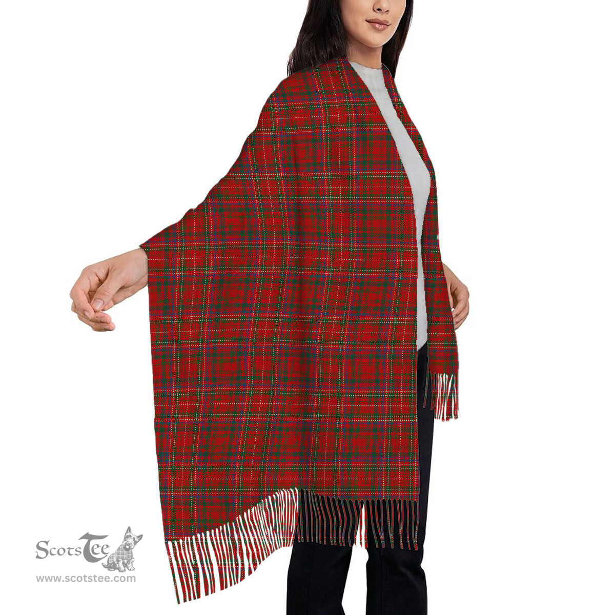 ScotsTee Shop Scottish MacDonald of Staffa 3 Solf Tartan Plaid Tassel Winter Scarf