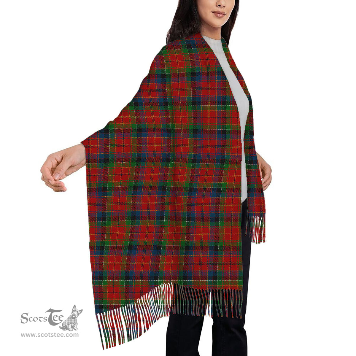 ScotsTee Shop Scottish Hay and Leith Solf Tartan Plaid Tassel Winter Scarf