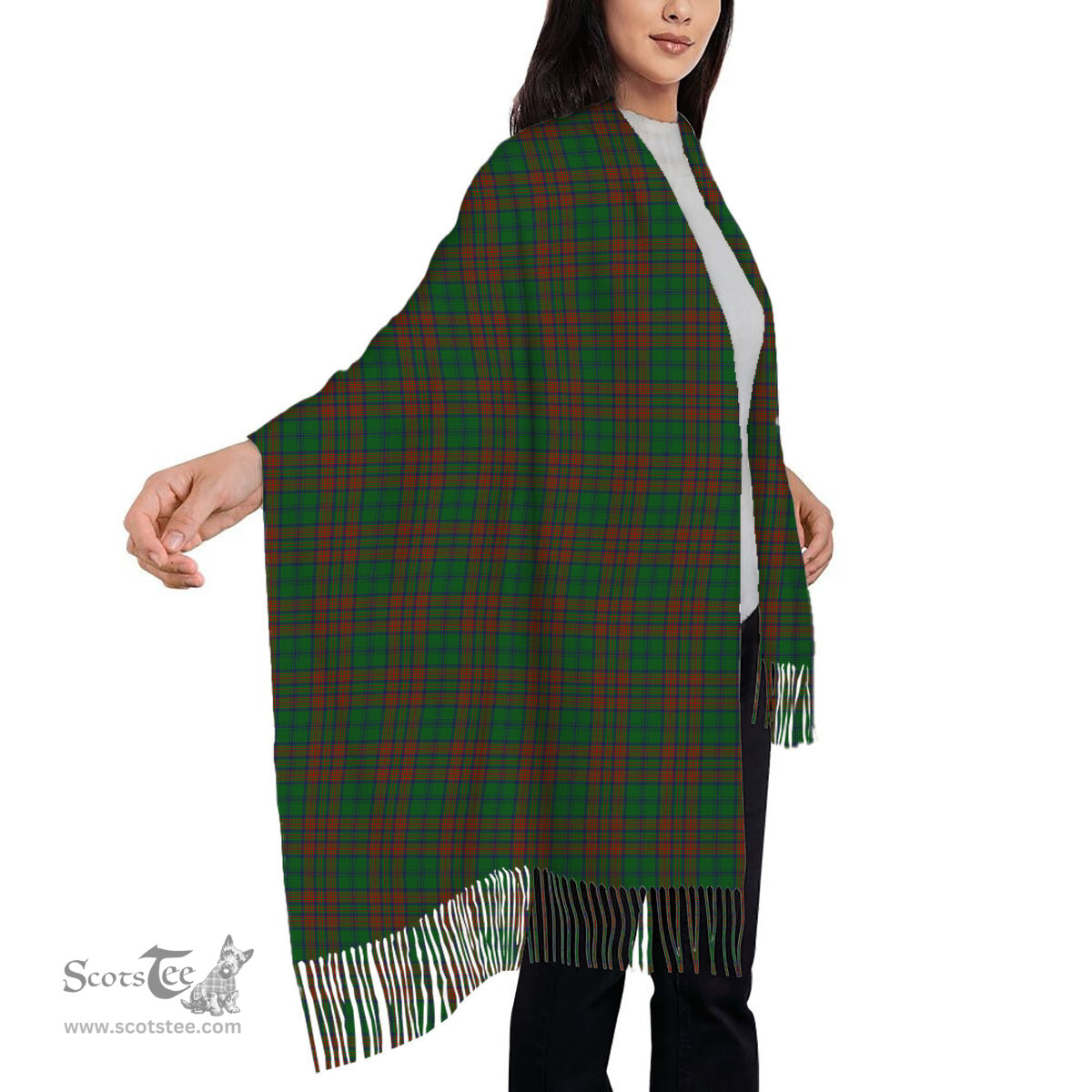 ScotsTee Shop Scottish Matheson Hunting Highland Society of London Solf Tartan Plaid Tassel Winter Scarf