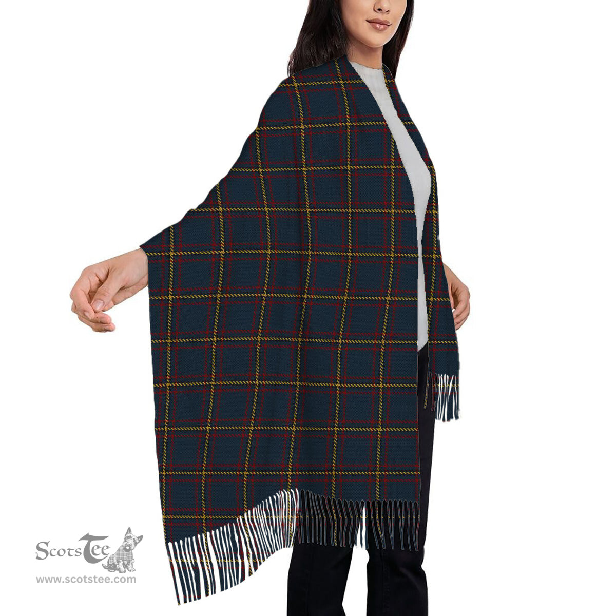 ScotsTee Shop Scottish MacLaine of Lochbuie Hunting Solf Tartan Plaid Tassel Winter Scarf