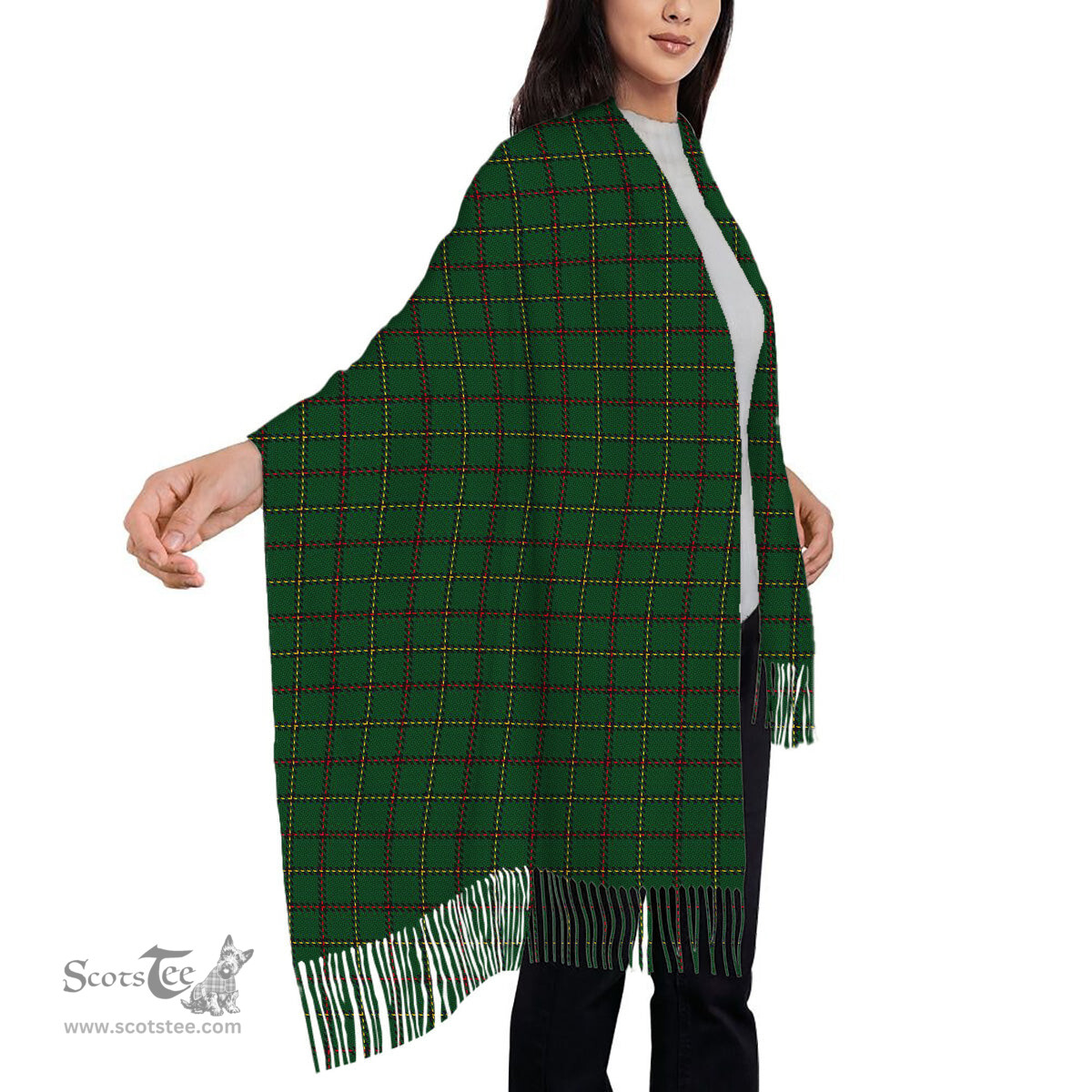 ScotsTee Shop Scottish Skene or Tribe of Mar Solf Tartan Plaid Tassel Winter Scarf